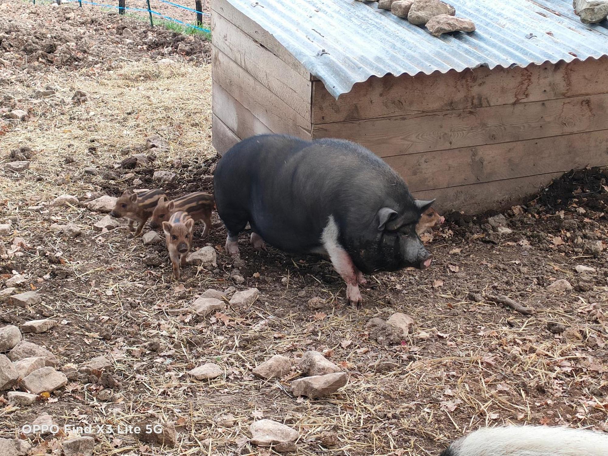Gite A La Ferme Ongles Экстерьер фото