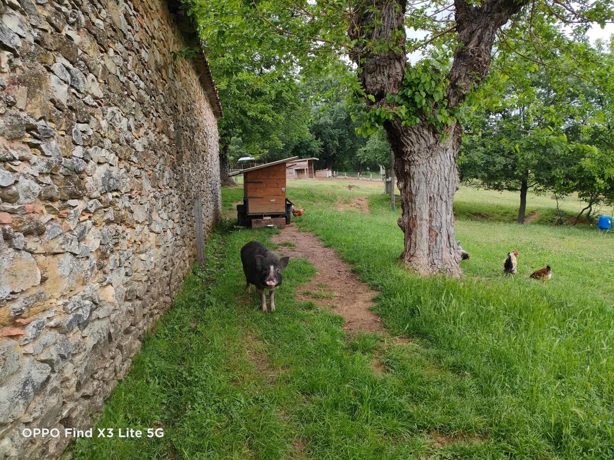 Gite A La Ferme Ongles Экстерьер фото